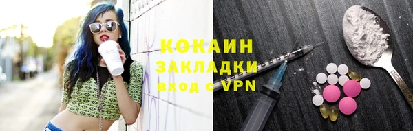 прущие грибы Карталы