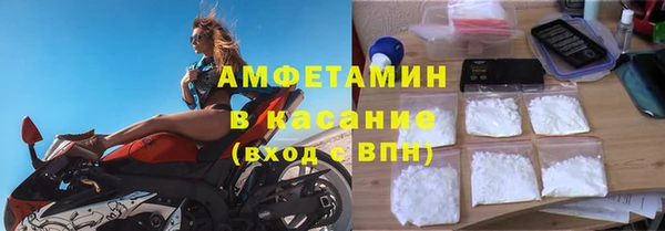 прущие грибы Карталы