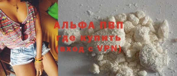прущие грибы Карталы