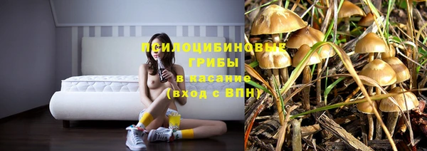 прущие грибы Карталы
