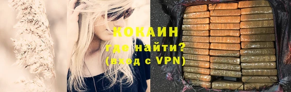 прущие грибы Карталы