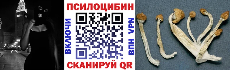 Галлюциногенные грибы Psilocybe  Купить закладки  Севастополь 